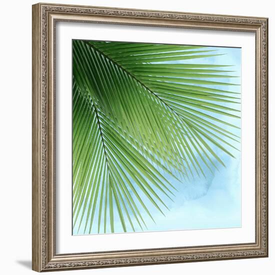 Palm on Blue VI-Mia Jensen-Framed Art Print