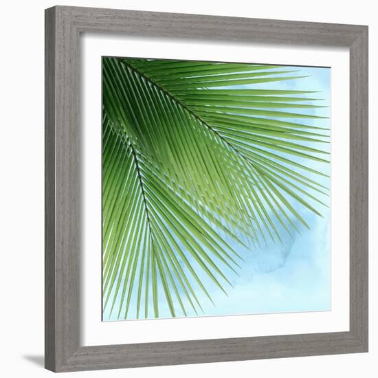 Palm on Blue VI-Mia Jensen-Framed Art Print