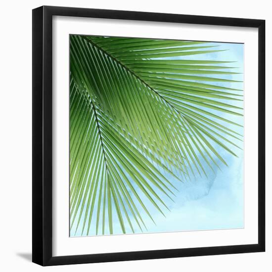 Palm on Blue VI-Mia Jensen-Framed Art Print