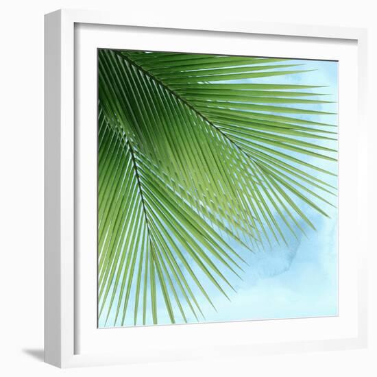 Palm on Blue VI-Mia Jensen-Framed Art Print