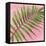 Palm on Pink II-Mia Jensen-Framed Stretched Canvas