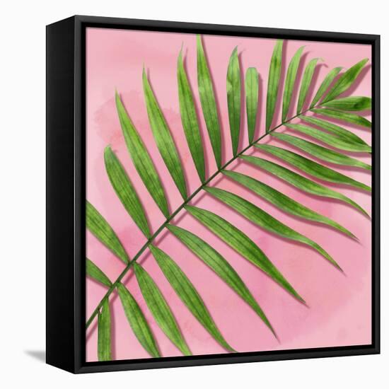 Palm on Pink II-Mia Jensen-Framed Stretched Canvas