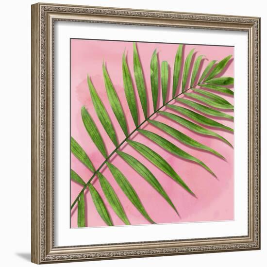 Palm on Pink II-Mia Jensen-Framed Art Print
