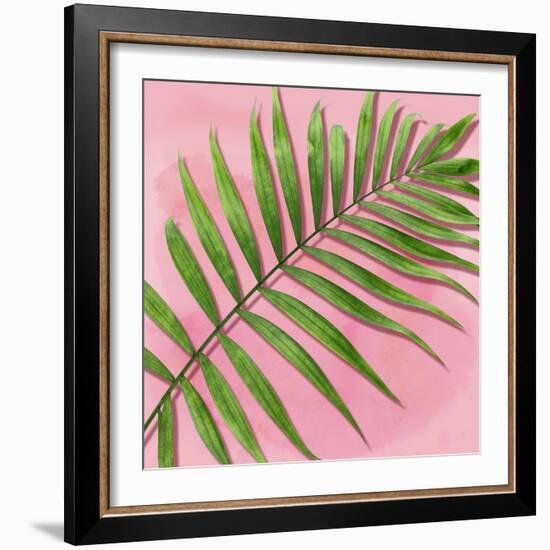 Palm on Pink II-Mia Jensen-Framed Art Print