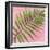 Palm on Pink II-Mia Jensen-Framed Art Print