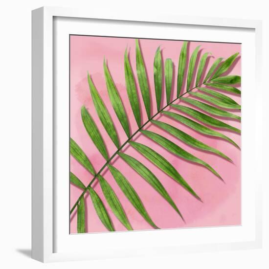 Palm on Pink II-Mia Jensen-Framed Art Print