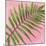 Palm on Pink II-Mia Jensen-Mounted Art Print