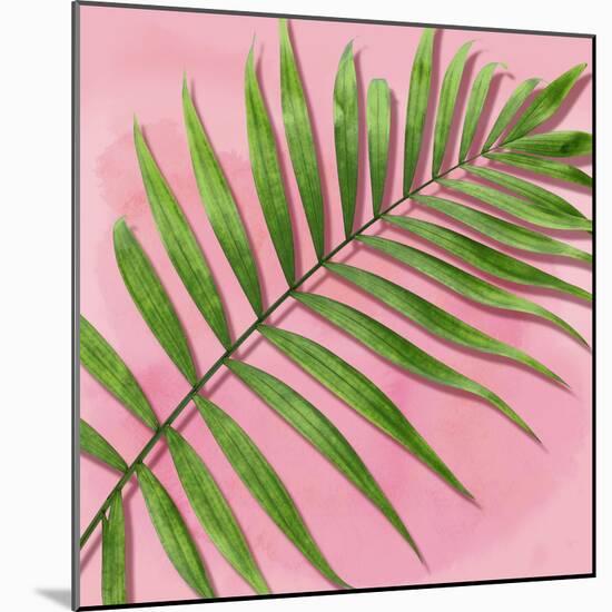 Palm on Pink II-Mia Jensen-Mounted Art Print