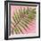 Palm on Pink II-Mia Jensen-Framed Art Print