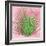 Palm on Pink III-Mia Jensen-Framed Art Print