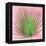 Palm on Pink III-Mia Jensen-Framed Stretched Canvas