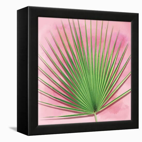 Palm on Pink III-Mia Jensen-Framed Stretched Canvas