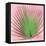 Palm on Pink III-Mia Jensen-Framed Stretched Canvas