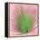 Palm on Pink III-Mia Jensen-Framed Stretched Canvas