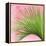 Palm on Pink IV-Mia Jensen-Framed Stretched Canvas