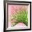 Palm on Pink IV-Mia Jensen-Framed Art Print