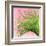 Palm on Pink IV-Mia Jensen-Framed Art Print