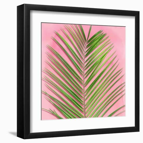 Palm on Pink V-Mia Jensen-Framed Art Print