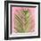 Palm on Pink V-Mia Jensen-Framed Art Print