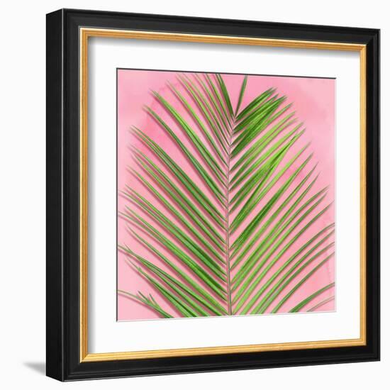 Palm on Pink V-Mia Jensen-Framed Art Print