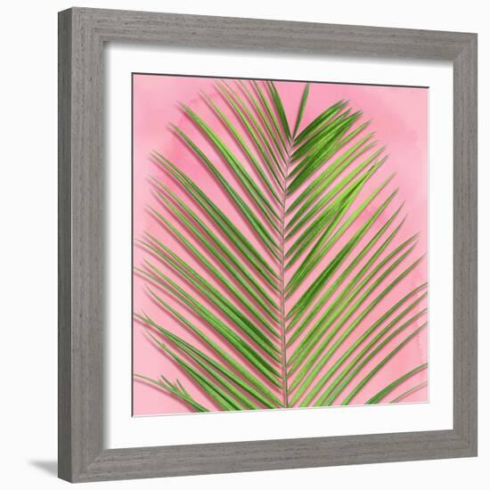 Palm on Pink V-Mia Jensen-Framed Art Print