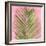 Palm on Pink V-Mia Jensen-Framed Art Print