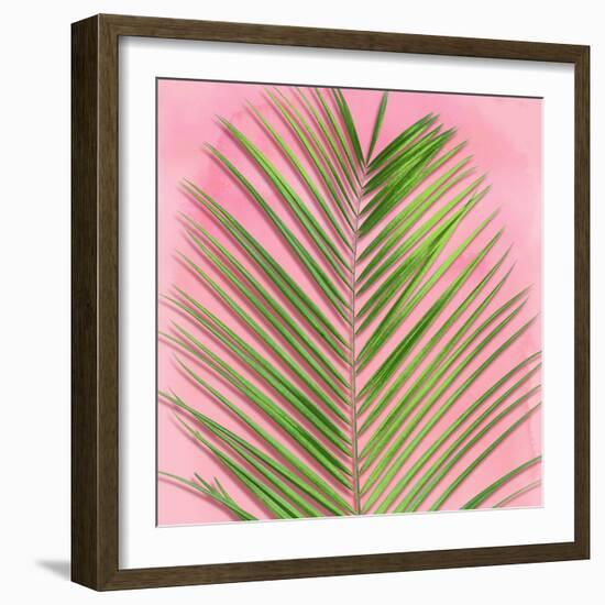 Palm on Pink V-Mia Jensen-Framed Art Print