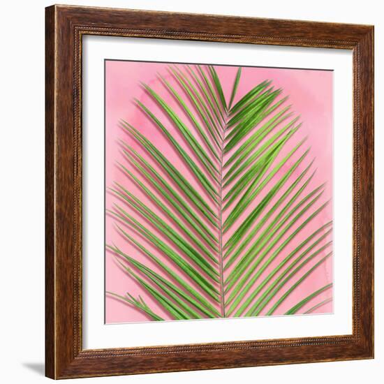 Palm on Pink V-Mia Jensen-Framed Art Print