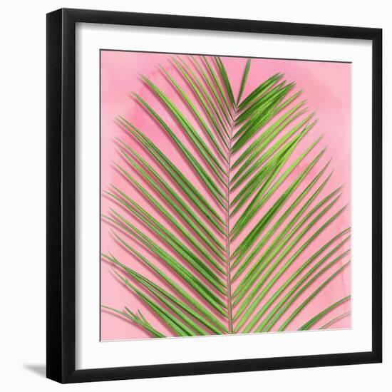 Palm on Pink V-Mia Jensen-Framed Art Print