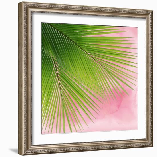 Palm on Pink VI-Mia Jensen-Framed Art Print