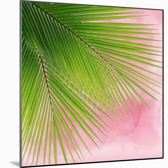 Palm on Pink VI-Mia Jensen-Mounted Art Print