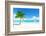 Palm on the Beach, Dominican Republic-Iakov Kalinin-Framed Photographic Print