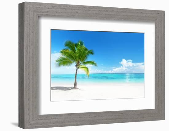 Palm on the Beach, Dominican Republic-Iakov Kalinin-Framed Photographic Print