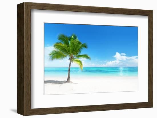 Palm on the Beach, Dominican Republic-Iakov Kalinin-Framed Photographic Print