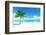 Palm on the Beach, Dominican Republic-Iakov Kalinin-Framed Photographic Print