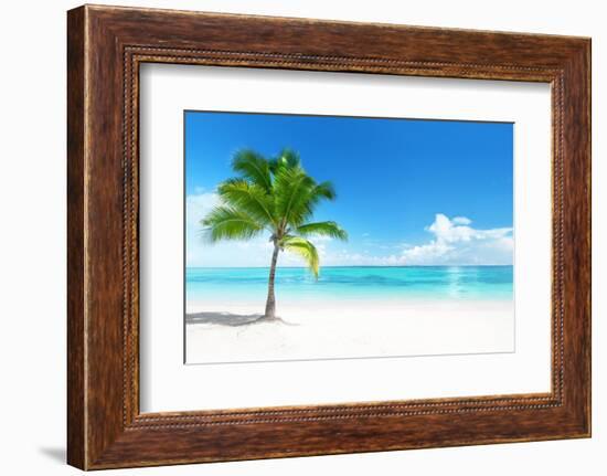Palm on the Beach, Dominican Republic-Iakov Kalinin-Framed Photographic Print