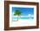 Palm on the Beach, Dominican Republic-Iakov Kalinin-Framed Photographic Print