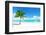 Palm on the Beach, Dominican Republic-Iakov Kalinin-Framed Photographic Print