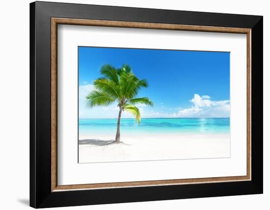 Palm on the Beach, Dominican Republic-Iakov Kalinin-Framed Photographic Print