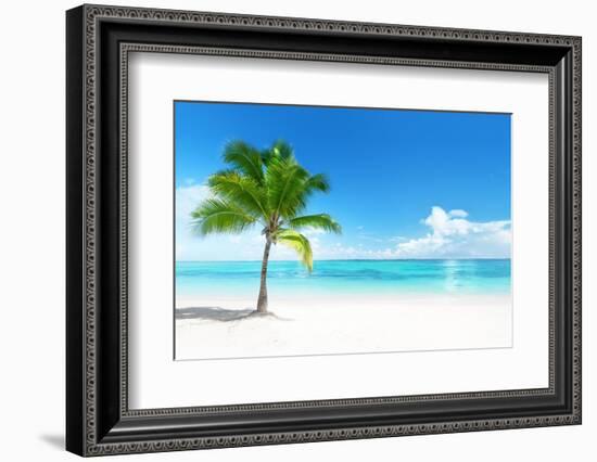 Palm on the Beach, Dominican Republic-Iakov Kalinin-Framed Photographic Print