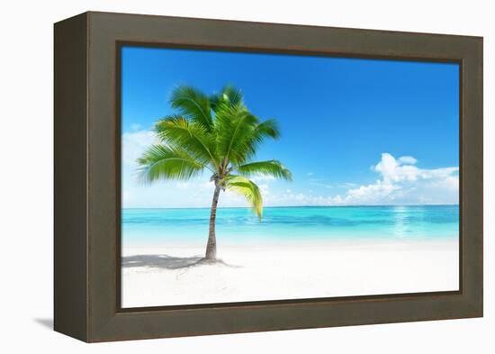 Palm on the Beach, Dominican Republic-Iakov Kalinin-Framed Premier Image Canvas