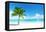 Palm on the Beach, Dominican Republic-Iakov Kalinin-Framed Premier Image Canvas