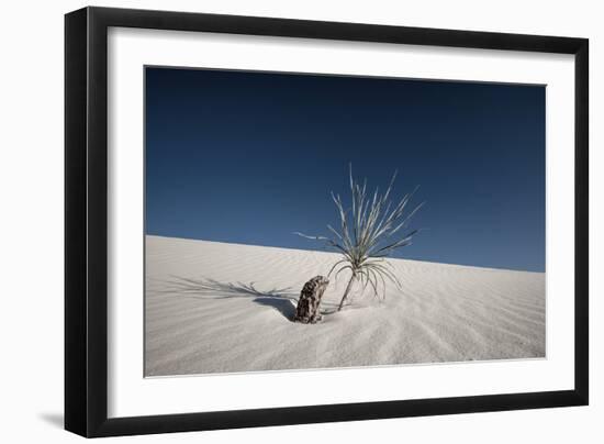 Palm on the Dune-Dan Ballard-Framed Photographic Print