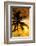 Palm Paradise at Sunset - Florida - USA-Philippe Hugonnard-Framed Photographic Print