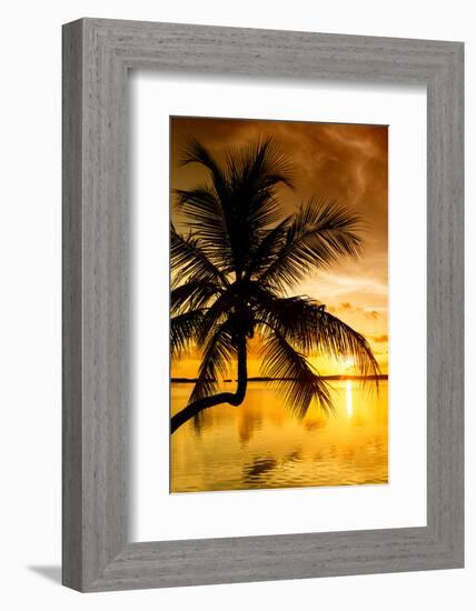 Palm Paradise at Sunset - Florida - USA-Philippe Hugonnard-Framed Photographic Print