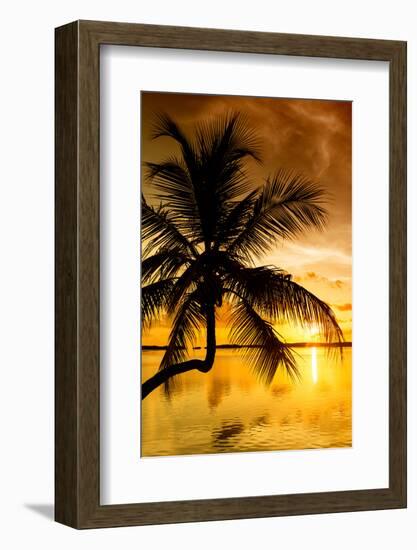 Palm Paradise at Sunset - Florida - USA-Philippe Hugonnard-Framed Photographic Print