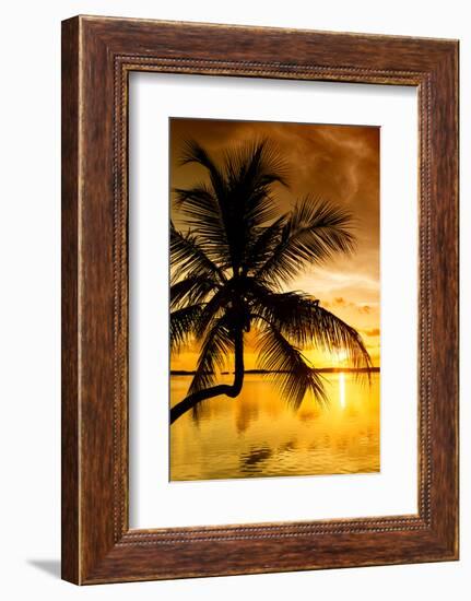 Palm Paradise at Sunset - Florida - USA-Philippe Hugonnard-Framed Photographic Print