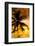 Palm Paradise at Sunset - Florida - USA-Philippe Hugonnard-Framed Photographic Print