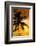 Palm Paradise at Sunset - Florida - USA-Philippe Hugonnard-Framed Photographic Print