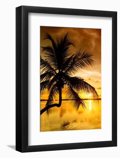 Palm Paradise at Sunset - Florida - USA-Philippe Hugonnard-Framed Photographic Print